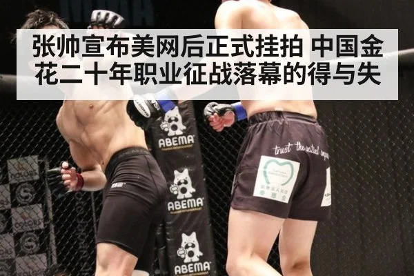 张帅宣布美网后正式挂拍 中国金花二十年职业征战落幕的得与失