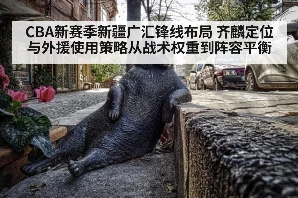 CBA新赛季新疆广汇锋线布局 齐麟定位与外援使用策略从战术权重到阵容平衡